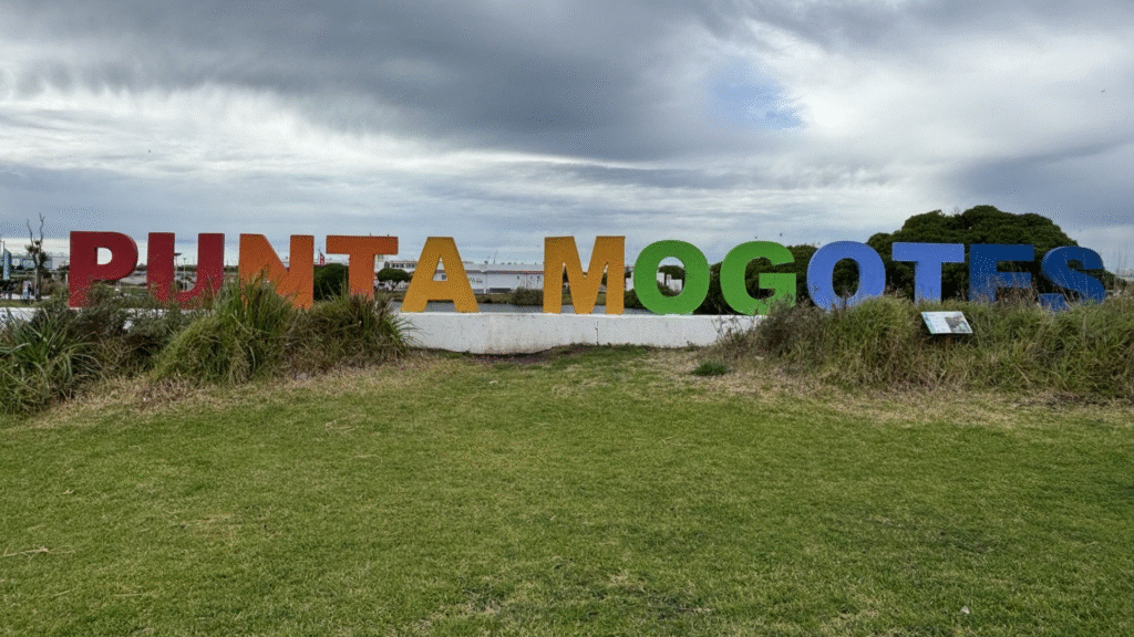 Punta Mogotes. Acuerdo.