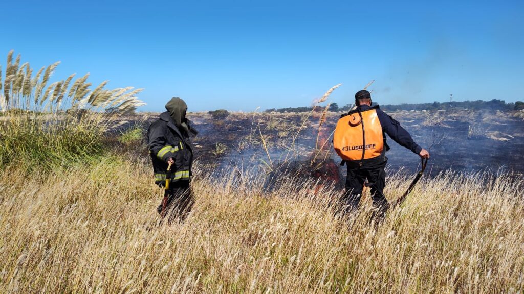 Bomberos conteniendo el fuego.