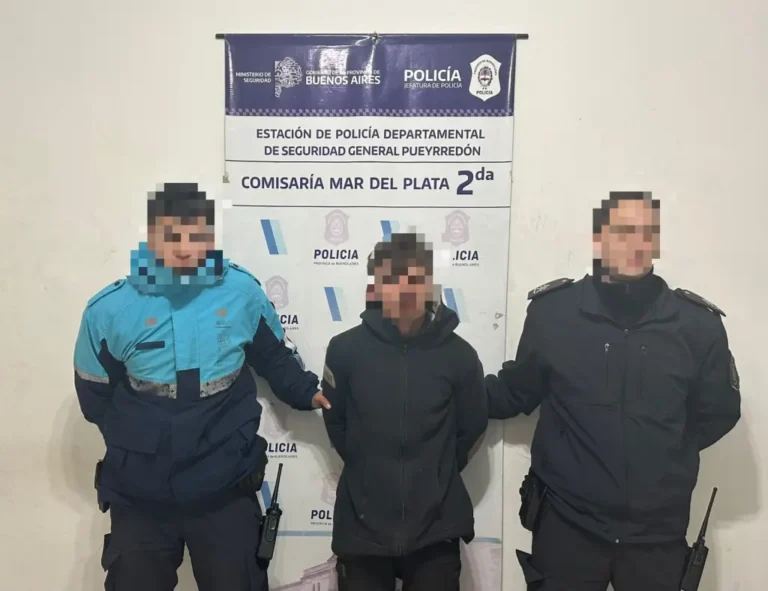 Rompió la vidriera de una heladería para robar y terminó detenido