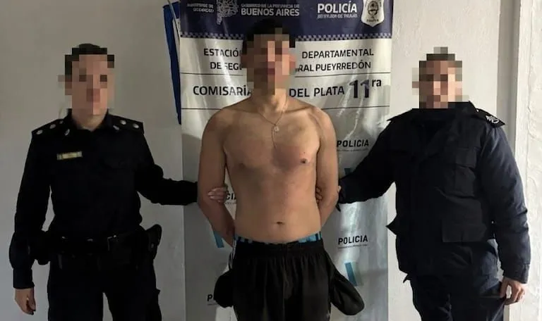 Robó un auto y, al intentar escapar de la Policía, atropelló a una mujer