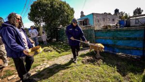 Rescataron a tres perros maltratados y en estado de abandono