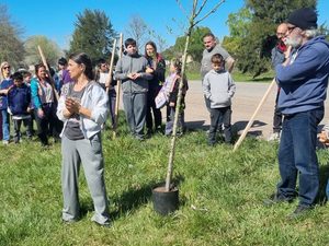 La UNMDP plantó 40 árboles en Estación Camet y El Casal