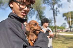 Turnos online para castrar perros y gatos: cómo acceder