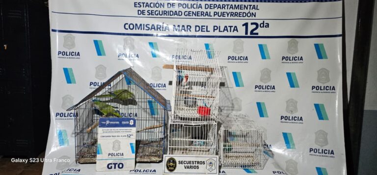 Buscaban al autor de un disparo y hallaron hojas de coca y aves silvestres