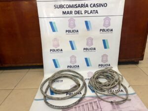 Dos jóvenes aprehendidos por el robo de cables en Plaza del Milenio