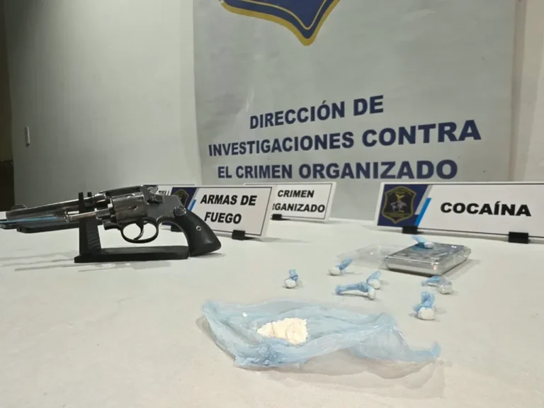 Golpe al narcomenudeo: detuvieron a una pareja y secuestraron droga y un arma